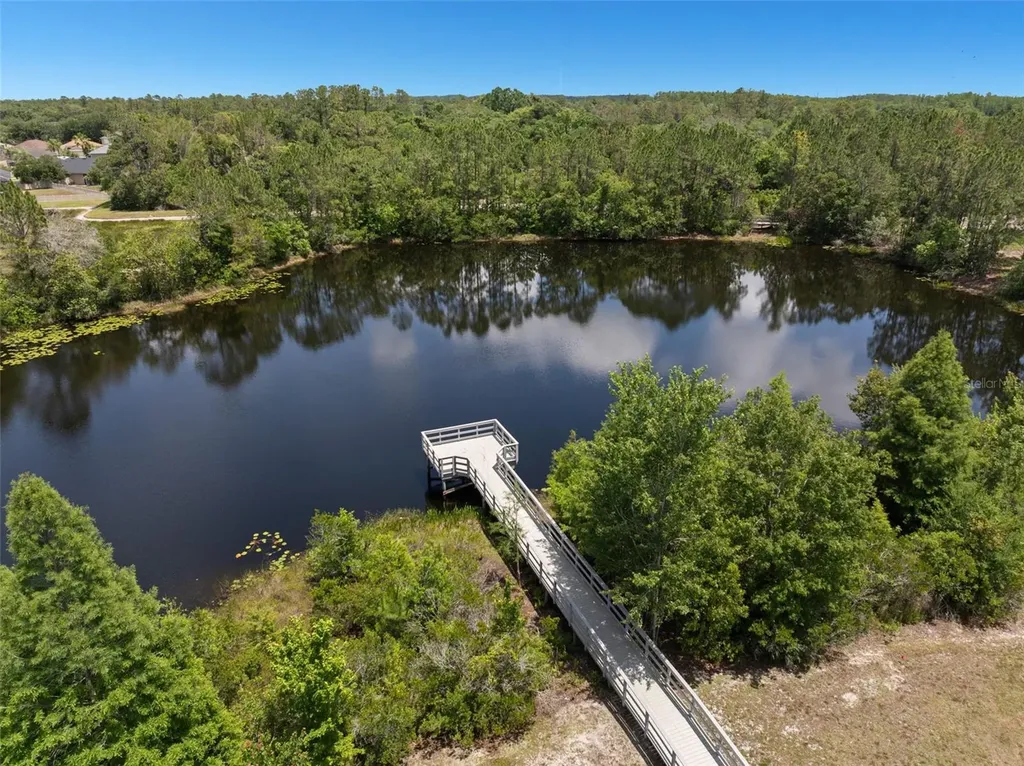 3011 Marble Crest Drive Land O Lakes FL 34638