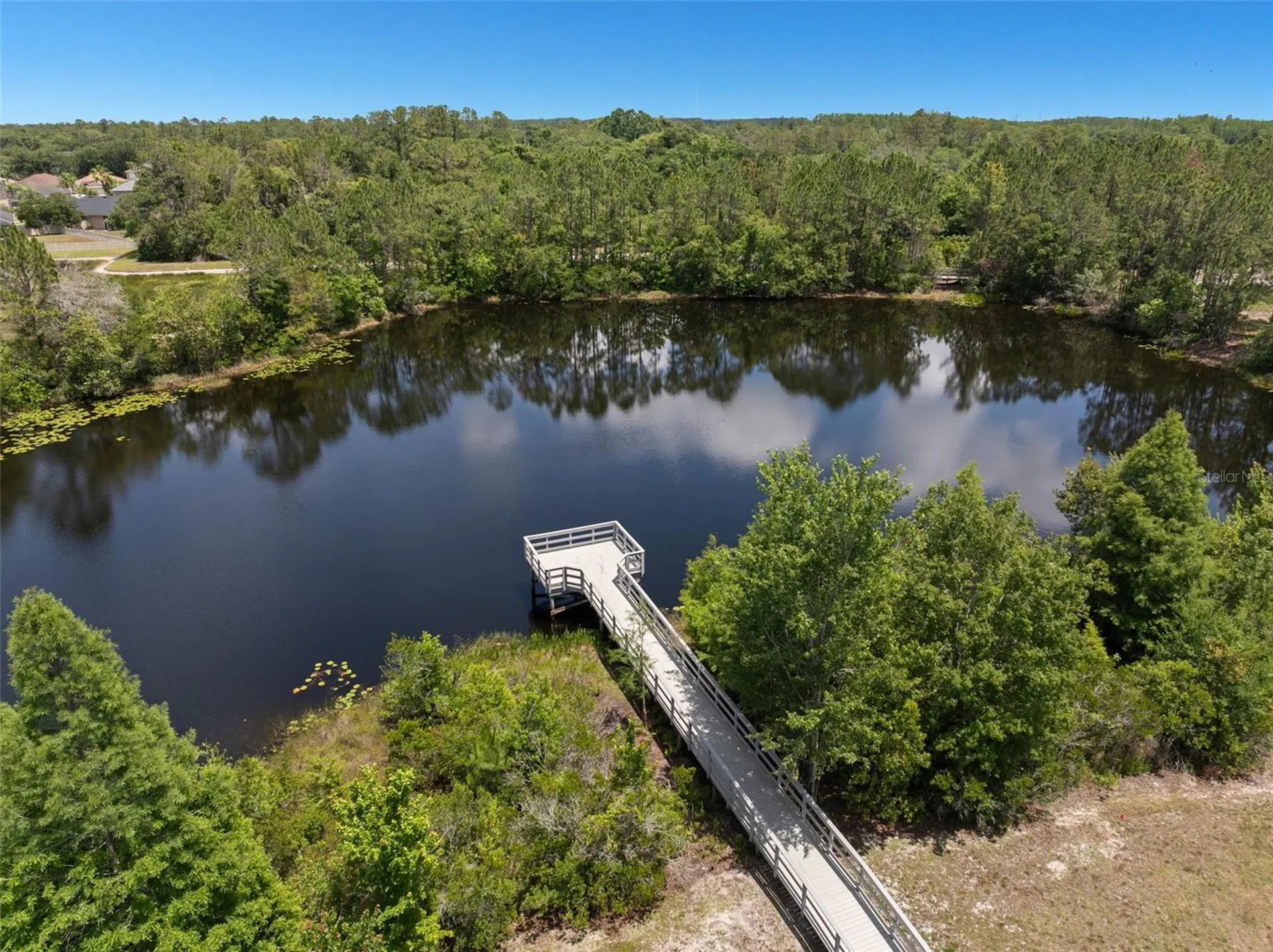 3011 Marble Crest Drive Land O Lakes FL 34638