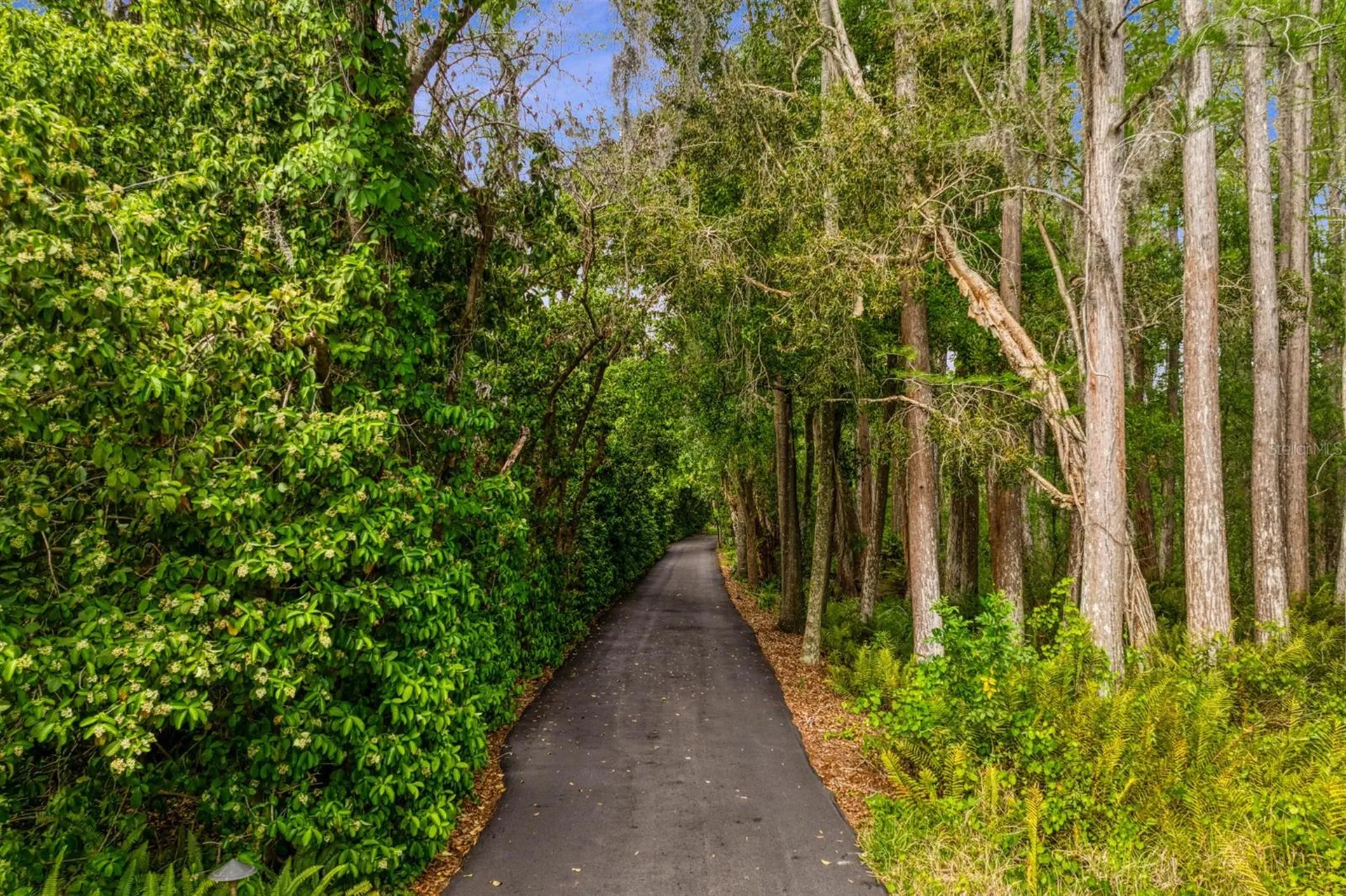 8817 Roberts Road Odessa FL 33556
