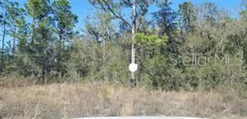 16200 Crane Road Weeki Wachee FL 34614