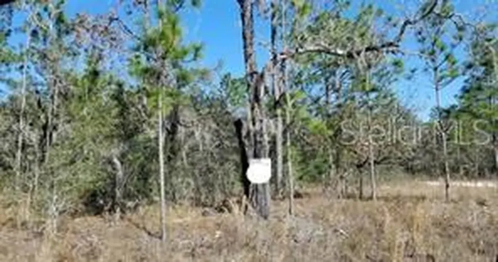 16200 Crane Road Weeki Wachee FL 34614