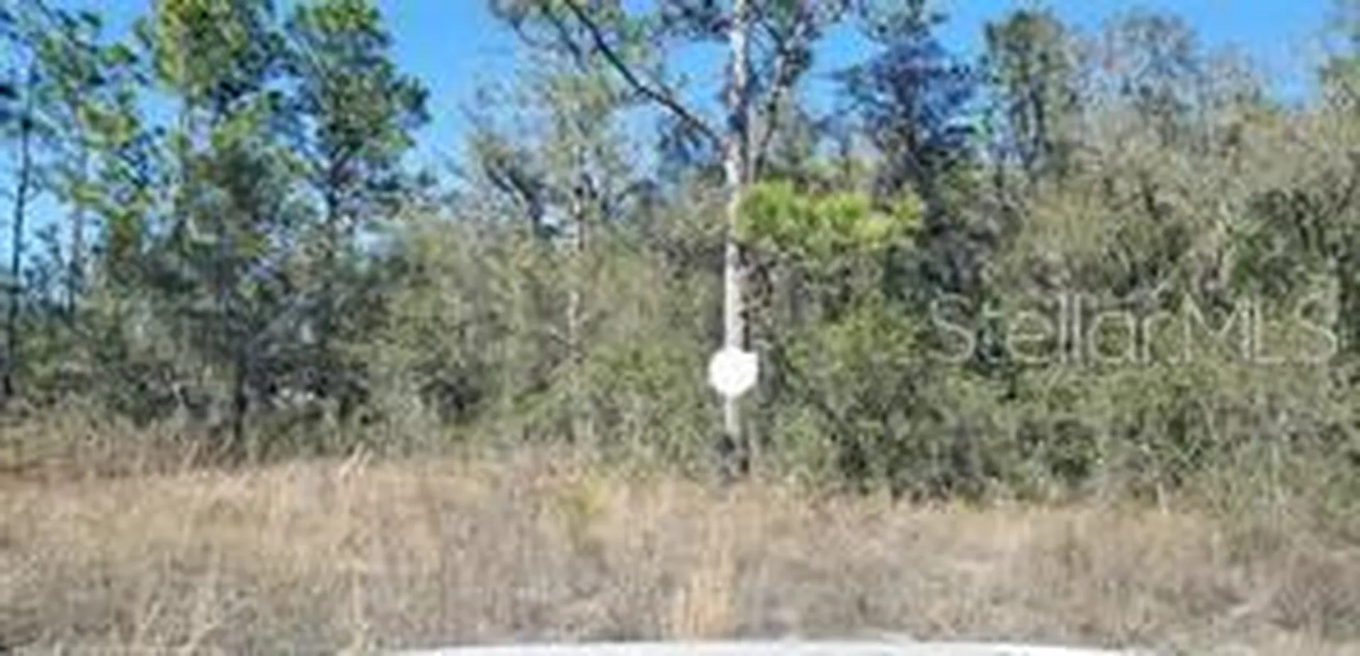 16200 Crane Road Weeki Wachee FL 34614