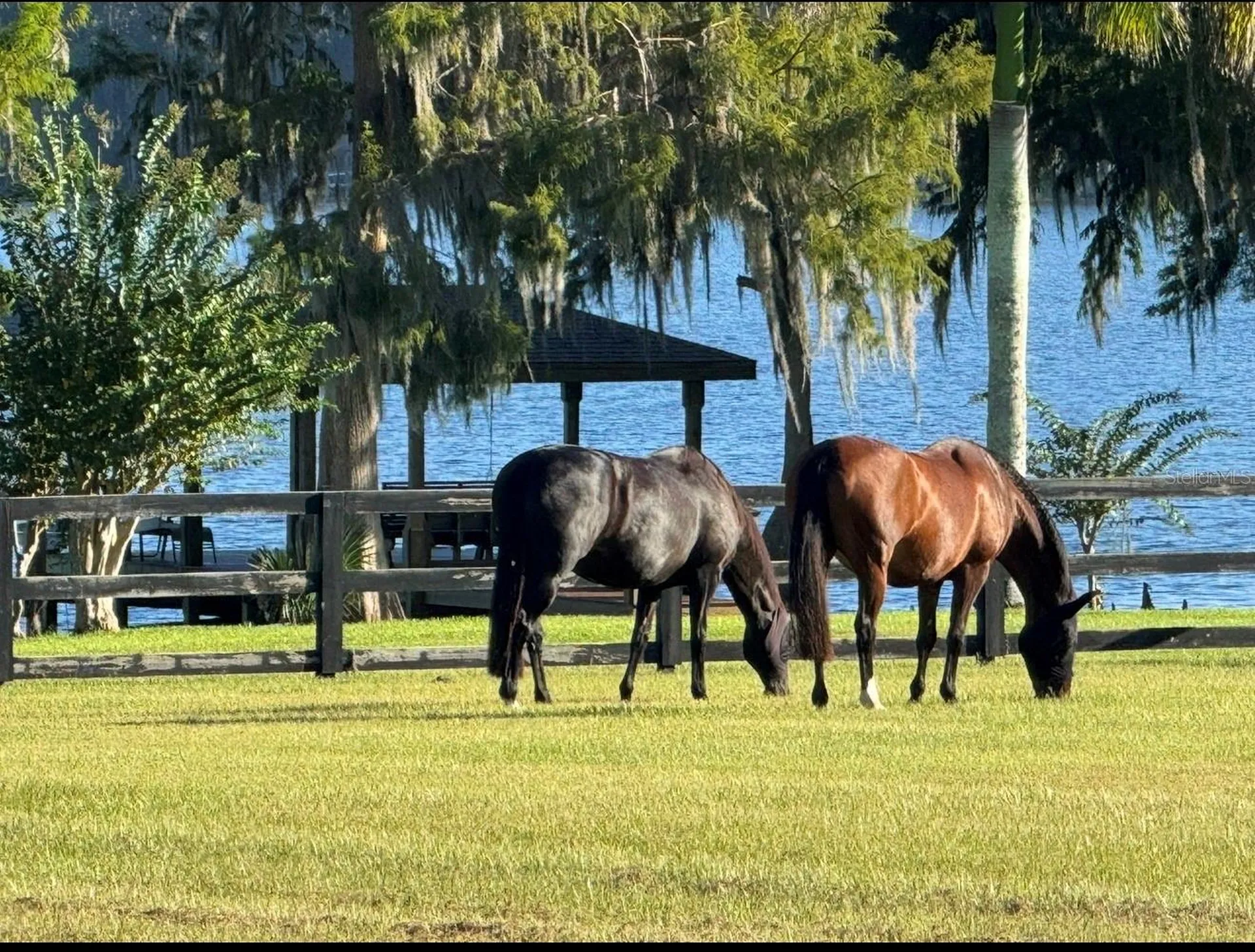 746 Lake Mills Road Oviedo FL 32766