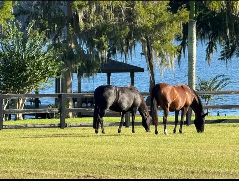 746 Lake Mills Road Oviedo FL 32766