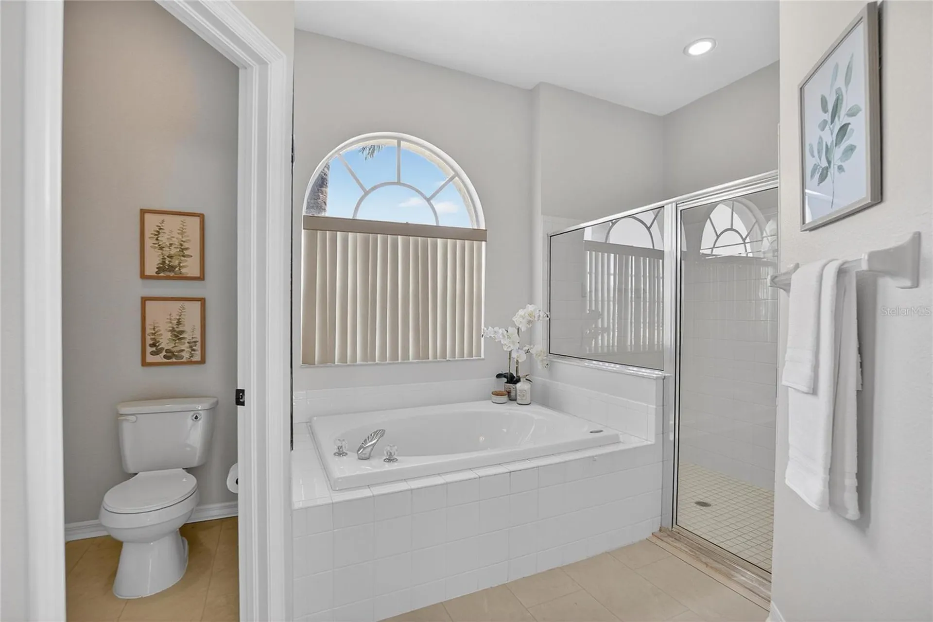 22118 Yachtclub Terrace Land O Lakes FL 34639