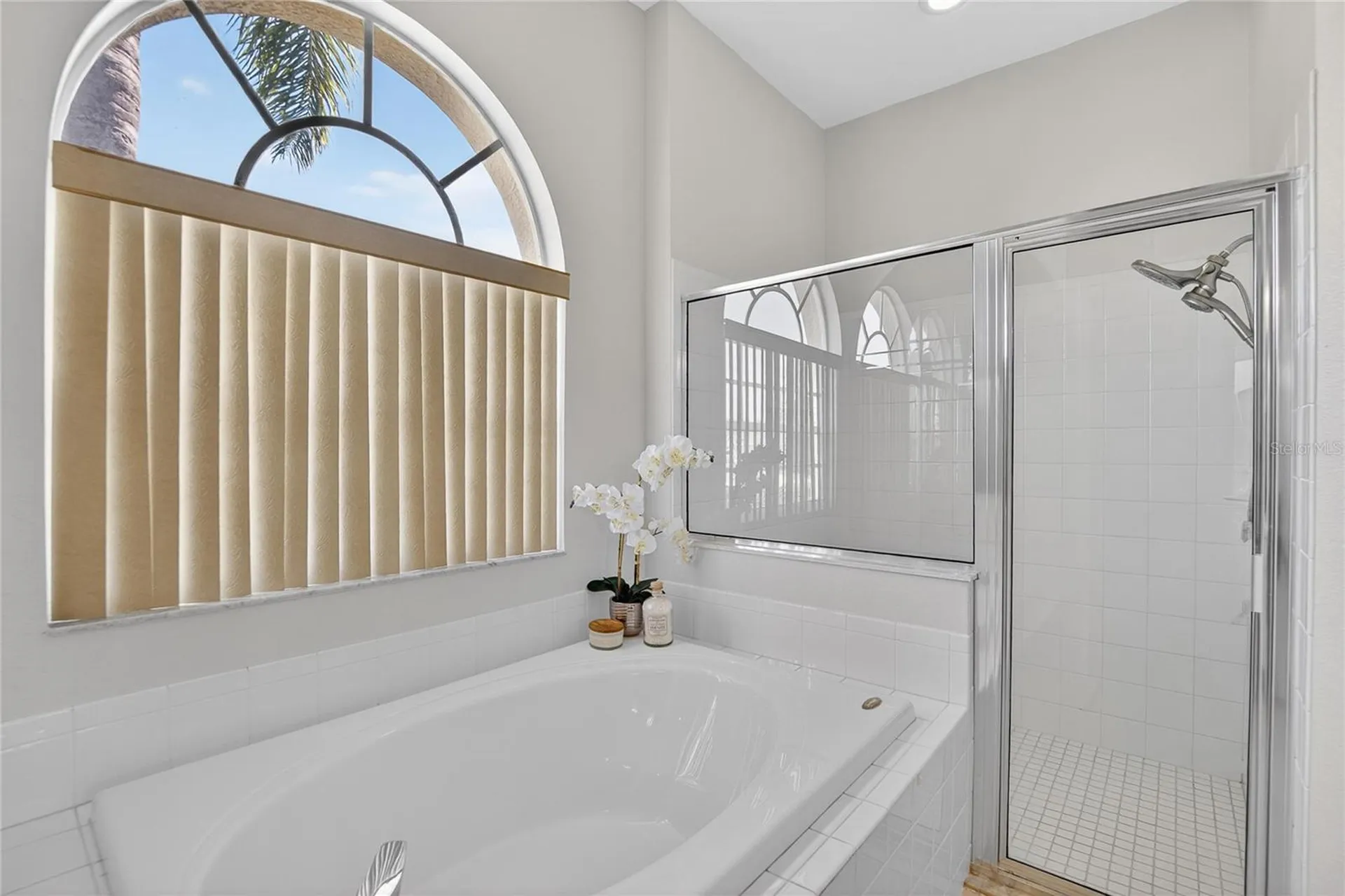 22118 Yachtclub Terrace Land O Lakes FL 34639