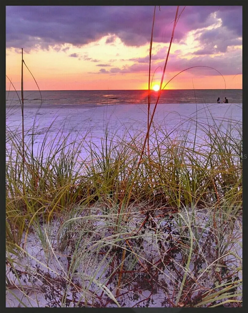 403 Gulf Way St Pete Beach FL 33706