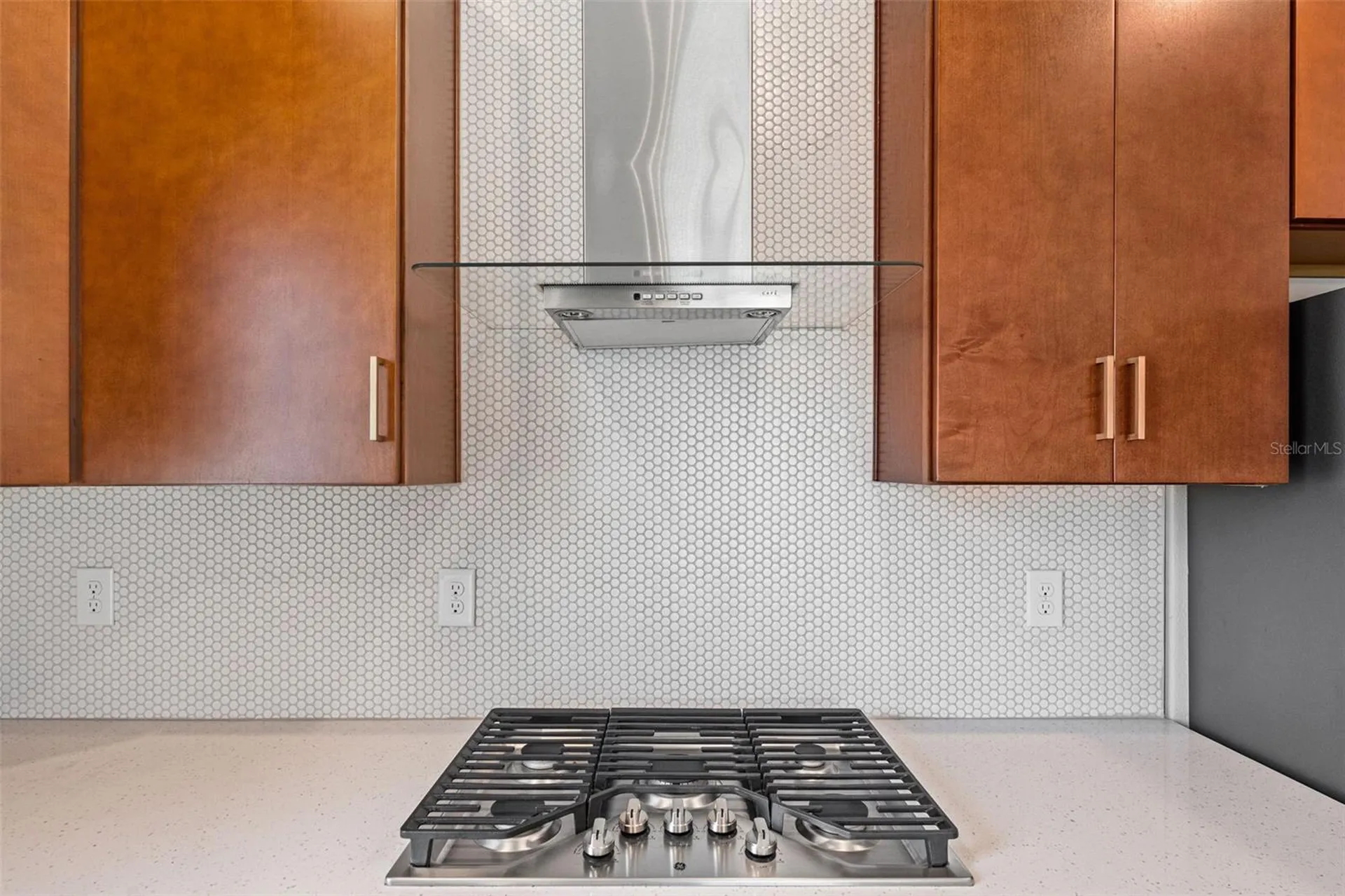 8093 Tea Olive Terrace Palmetto FL 34221