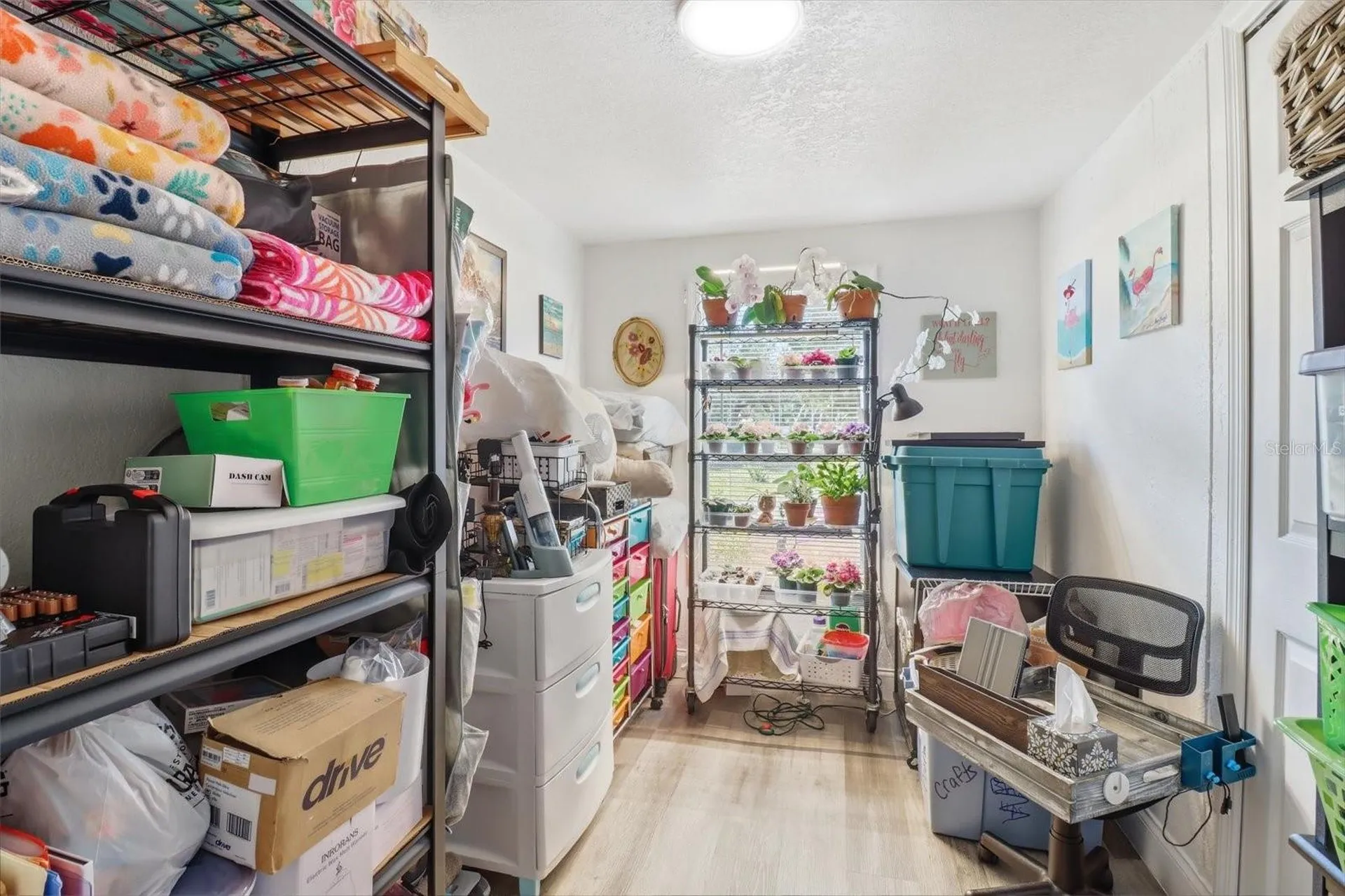 8515 W Orangetree Street Crystal River FL 34428