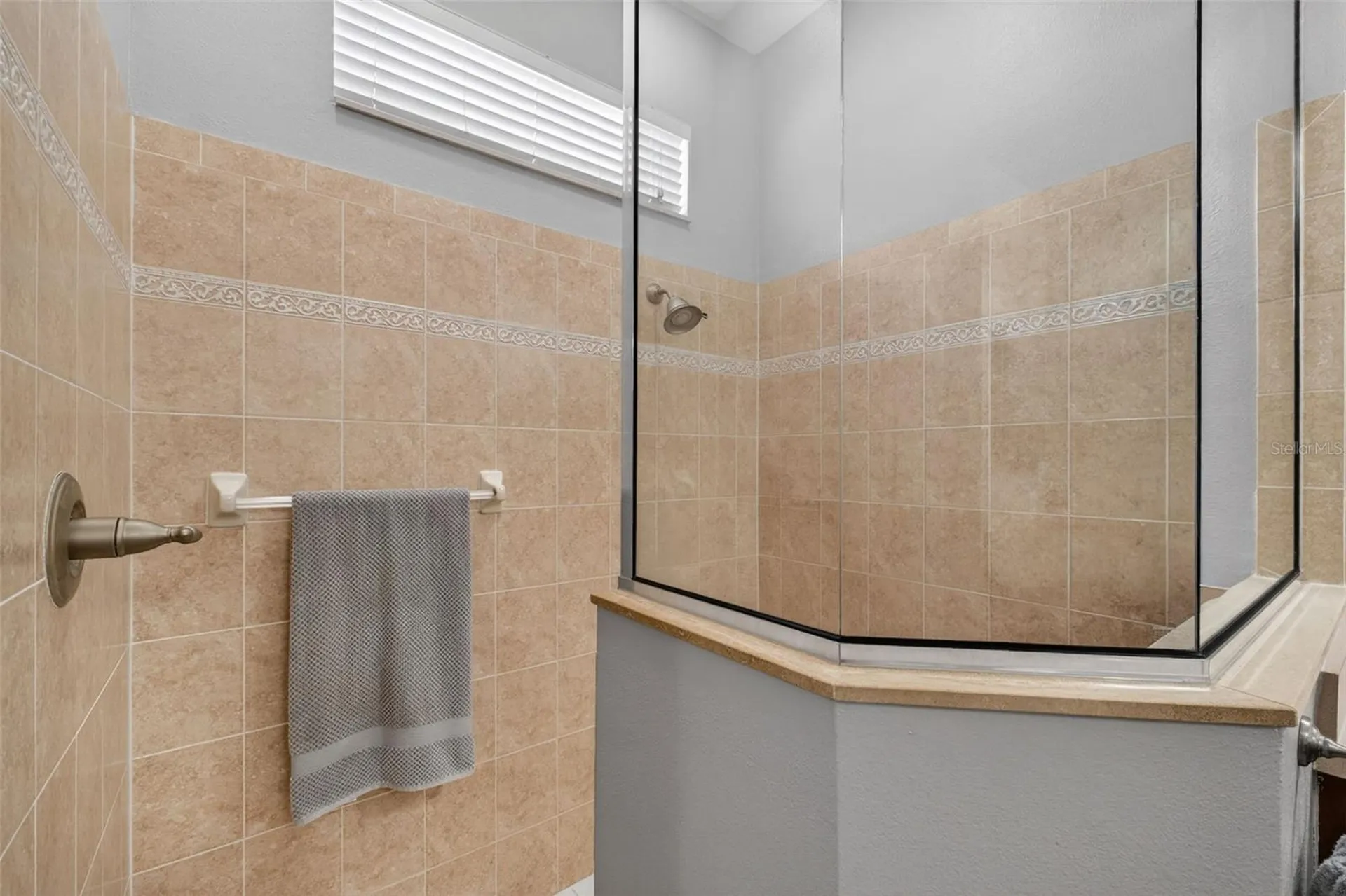 5017 Torrey Hills Lane Lutz FL 33558