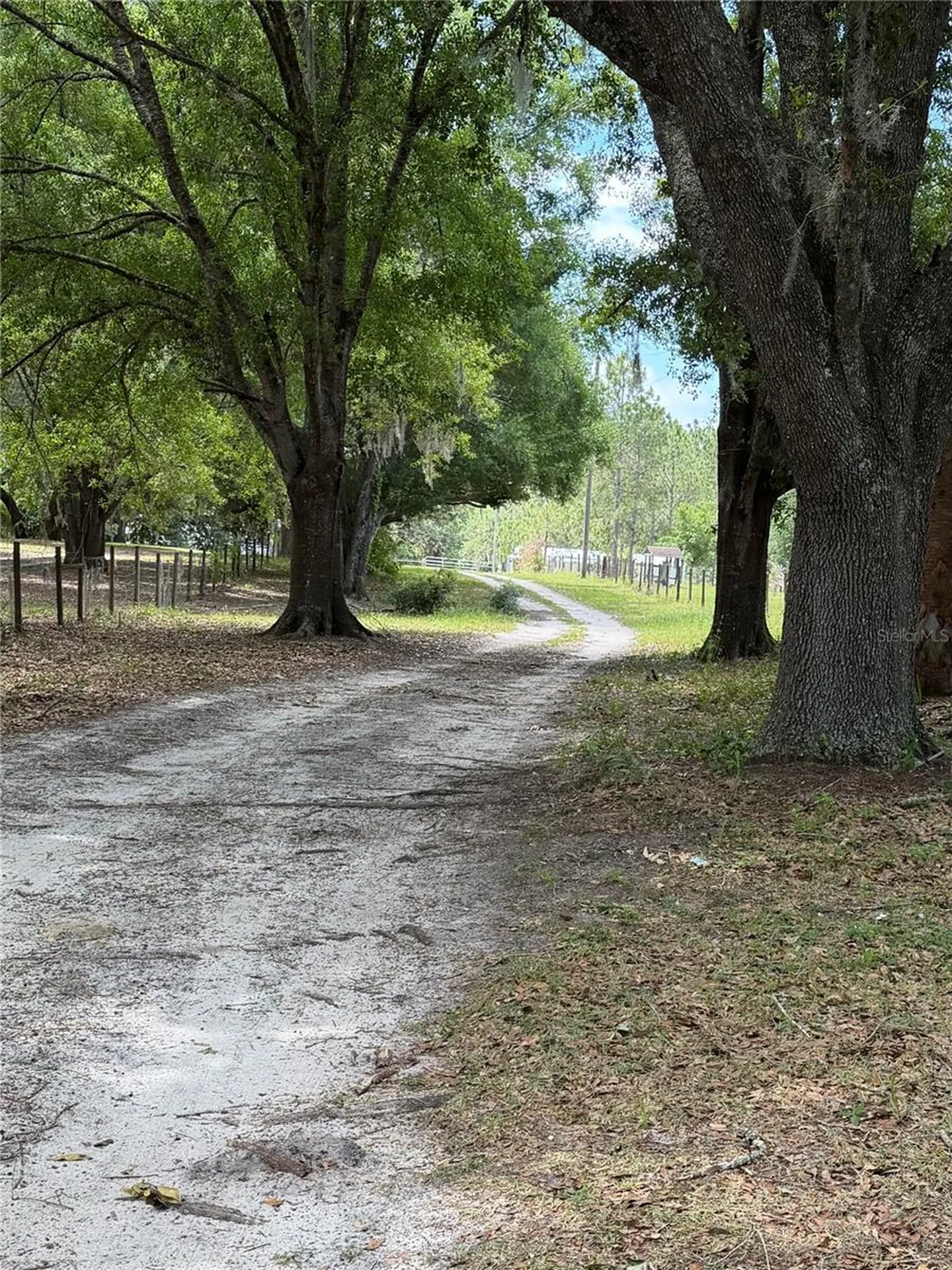 6030 Green Pond Road Polk City FL 33868