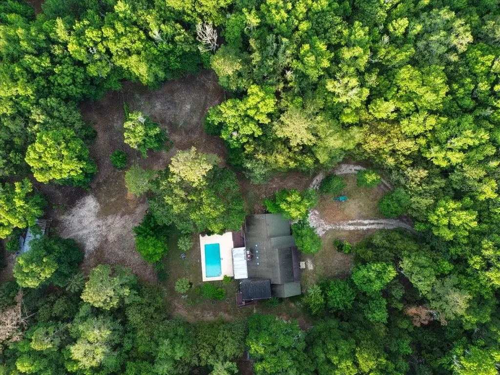 22731 NW 91st Court Road Micanopy FL 32667