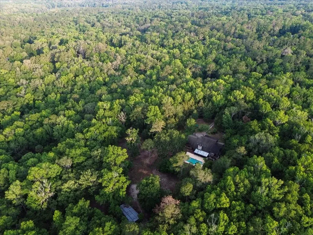 22731 NW 91st Court Road Micanopy FL 32667