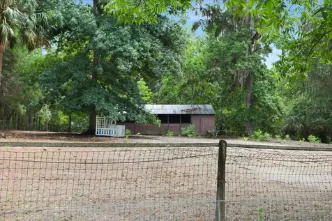 22731 NW 91st Court Road Micanopy FL 32667