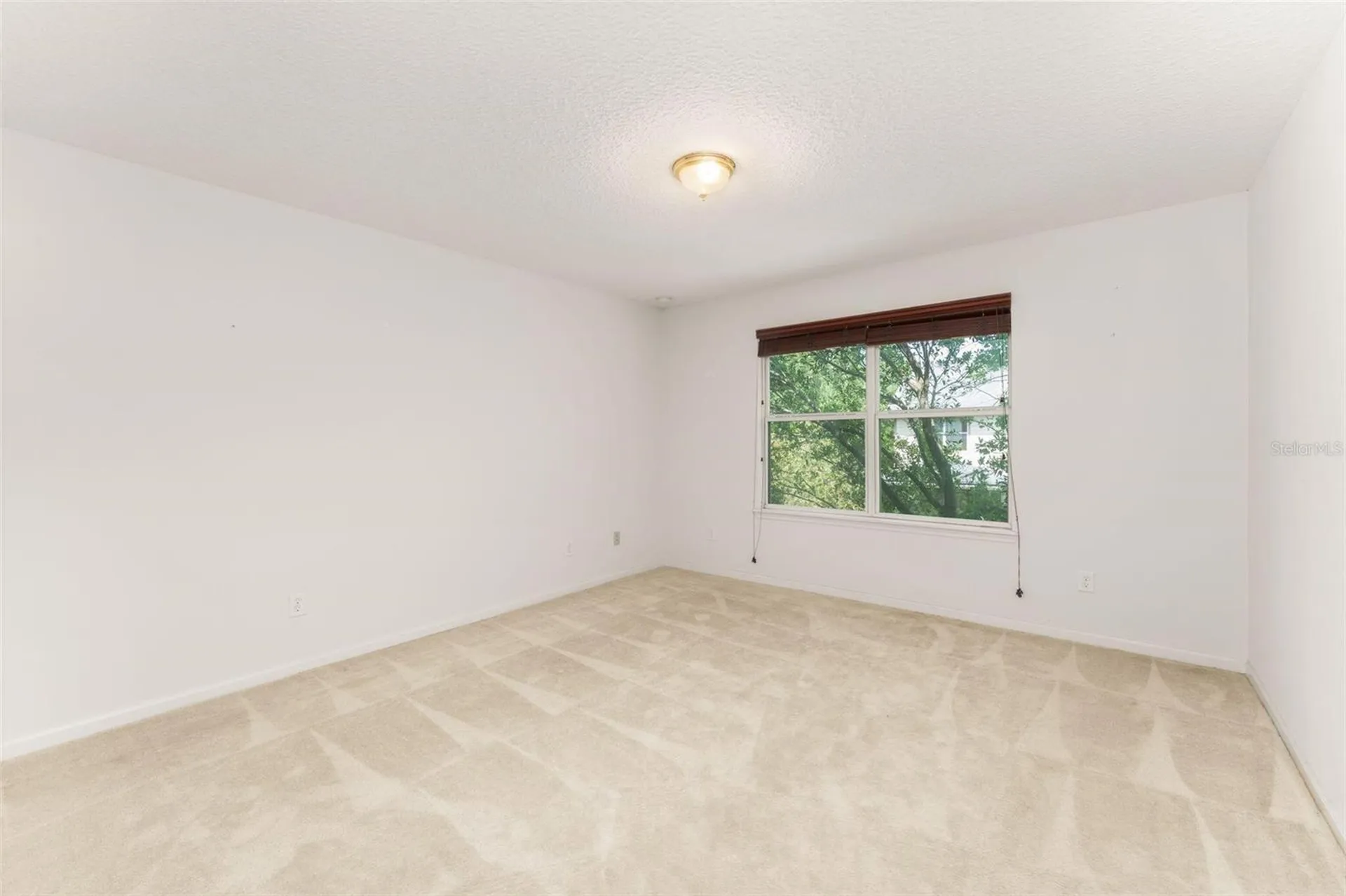 8223 NW 53rd Street Gainesville FL 32653