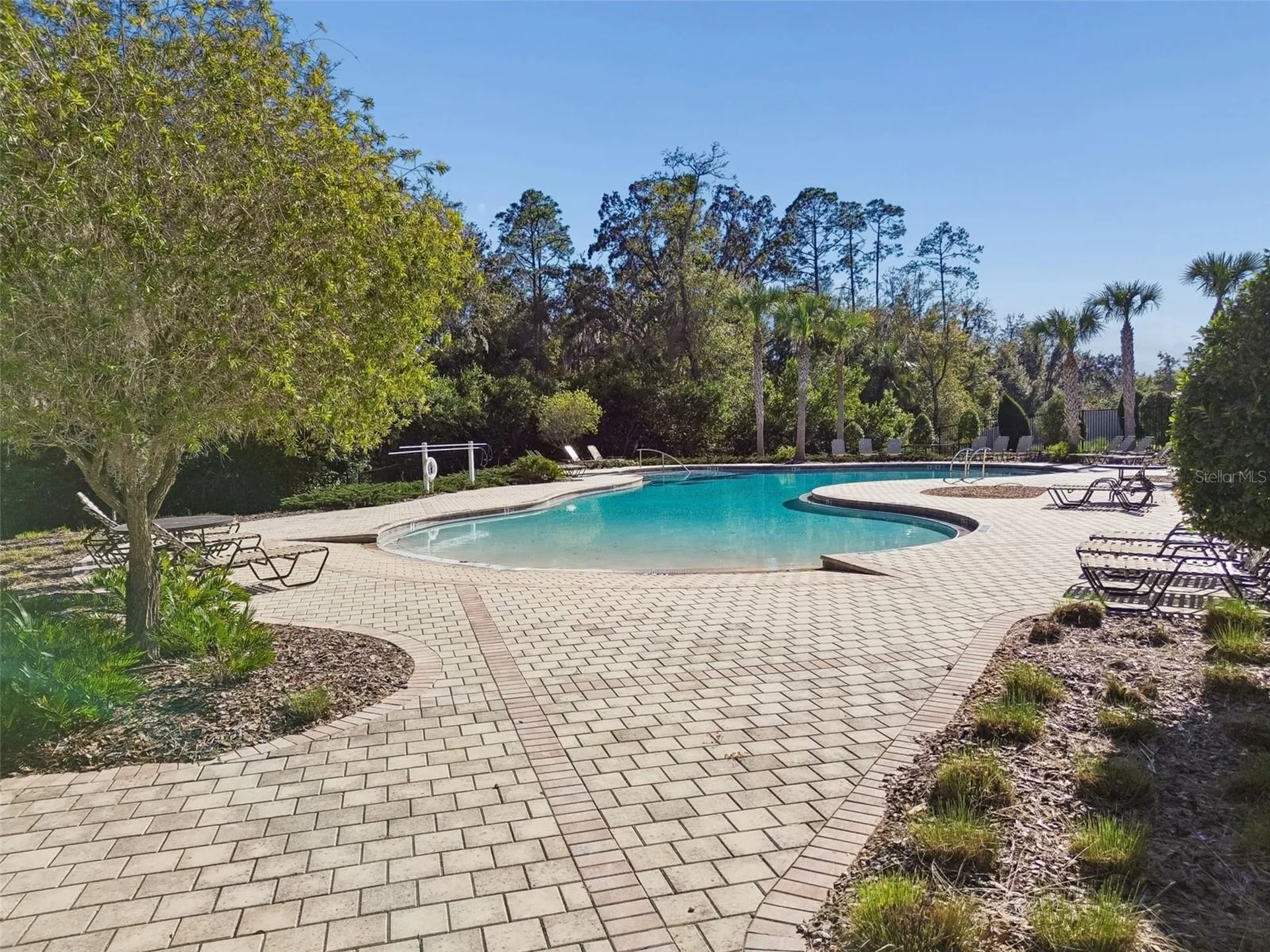 6307 Spring Crayfish Avenue New Port Richey FL 34653