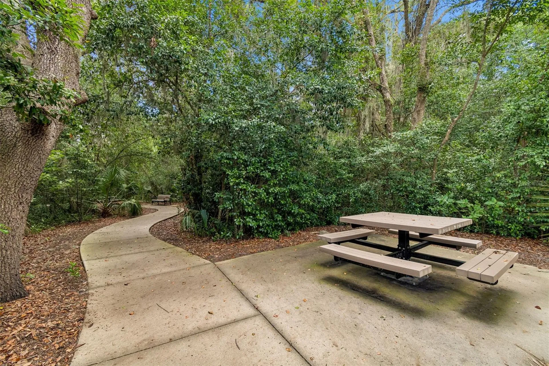6307 Spring Crayfish Avenue New Port Richey FL 34653