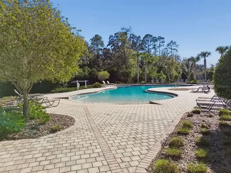 6307 Spring Crayfish Avenue New Port Richey FL 34653