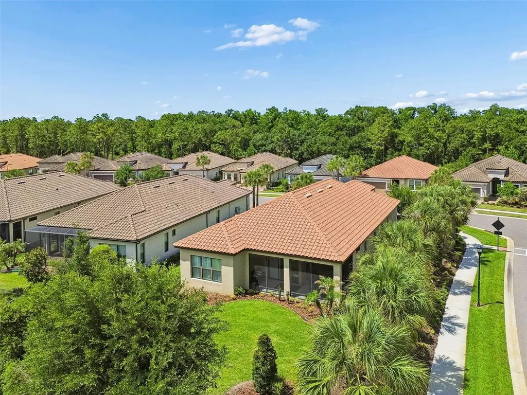 20158 Umbria Hill Drive Tampa FL 33647