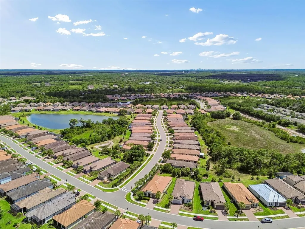 20158 Umbria Hill Drive Tampa FL 33647
