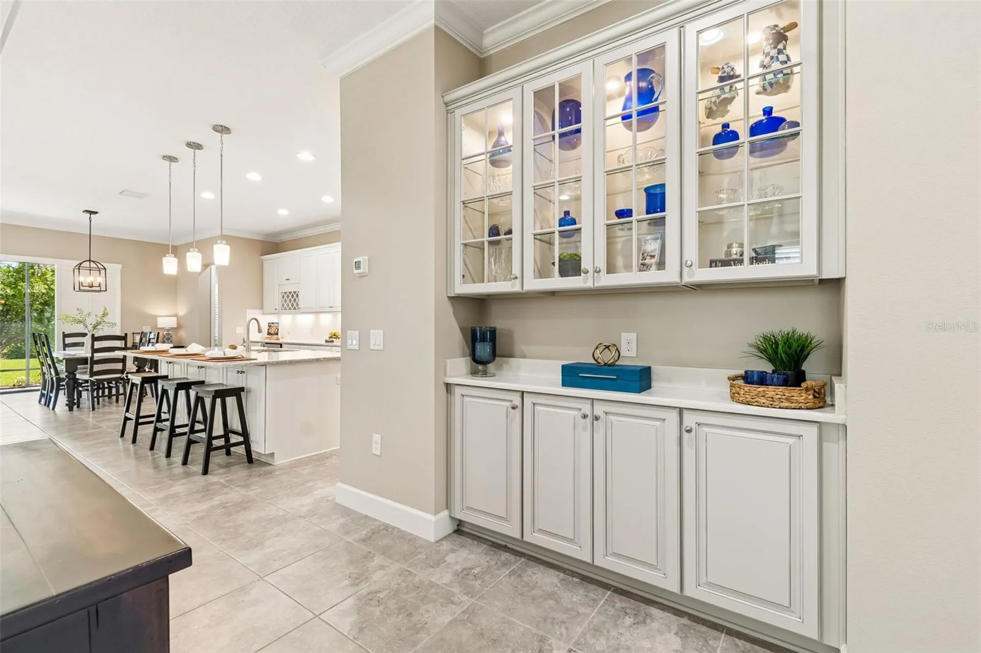 20158 Umbria Hill Drive Tampa FL 33647