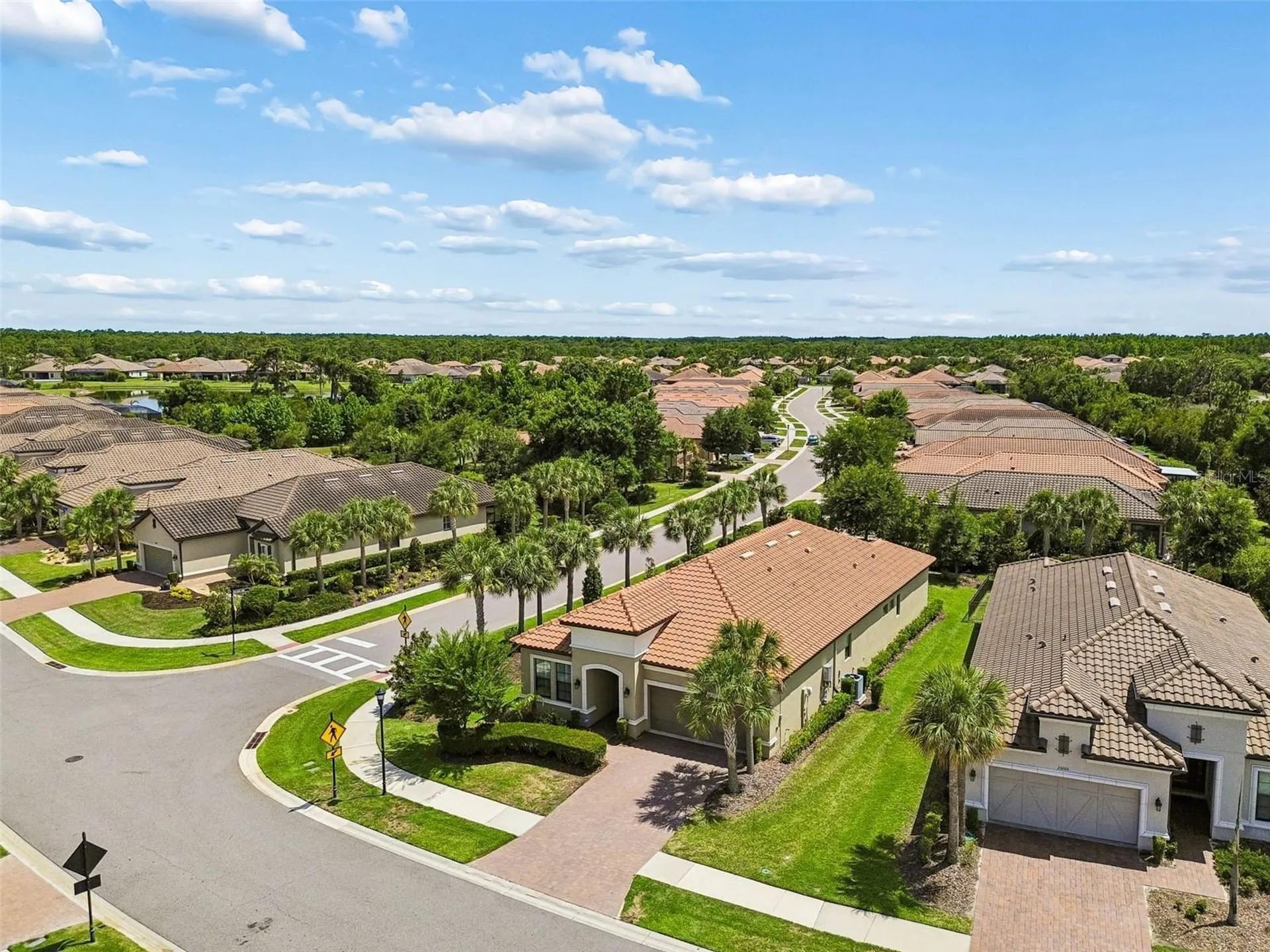 20158 Umbria Hill Drive Tampa FL 33647