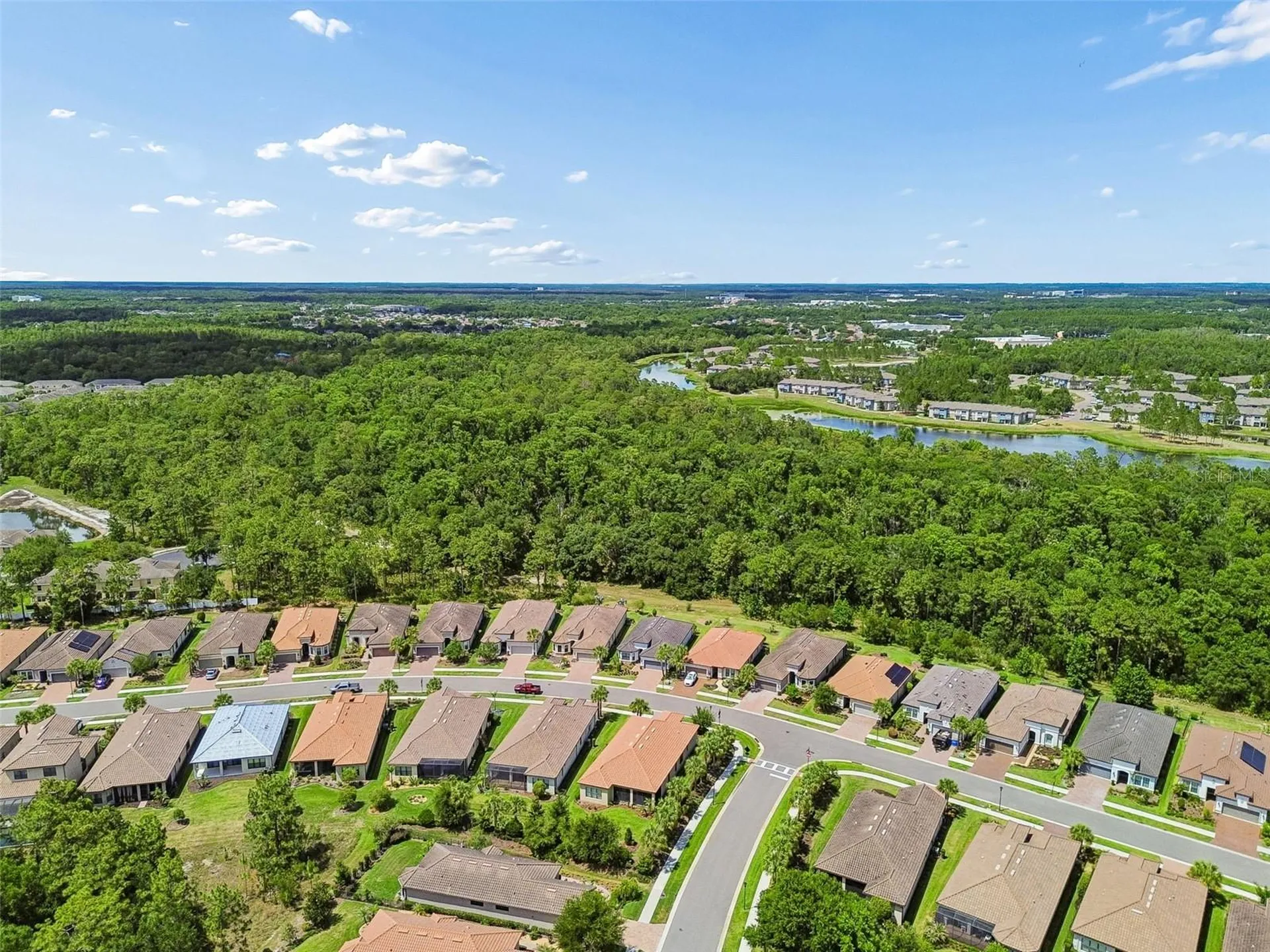 20158 Umbria Hill Drive Tampa FL 33647