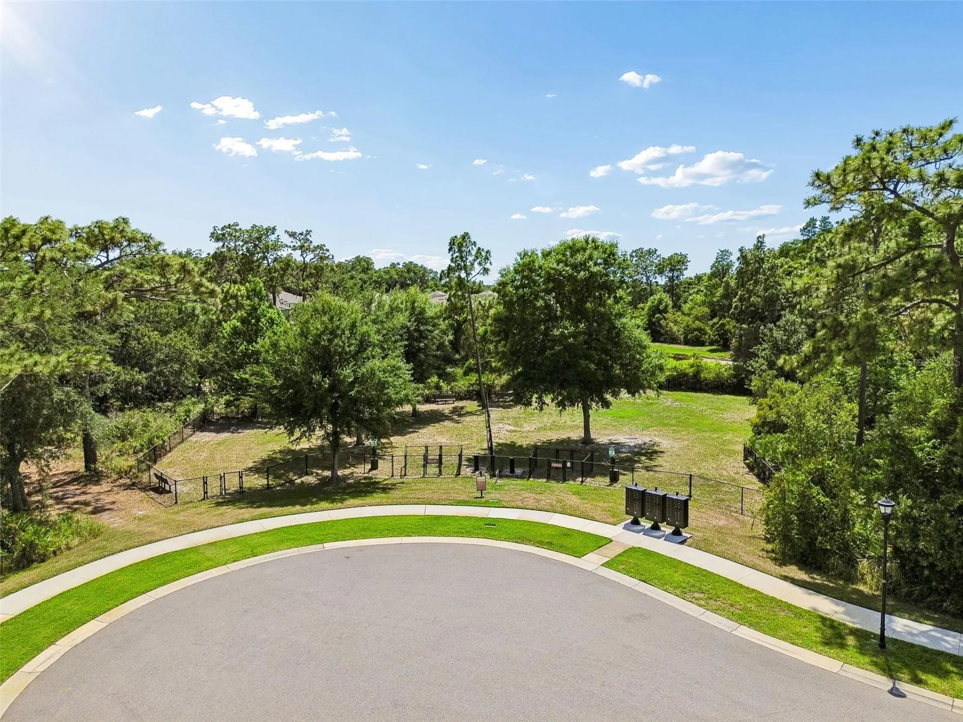 20158 Umbria Hill Drive Tampa FL 33647