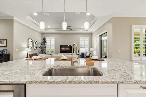 20158 Umbria Hill Drive Tampa FL 33647