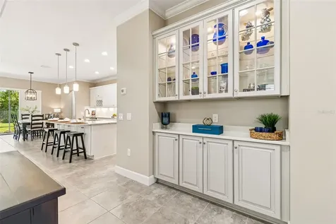 20158 Umbria Hill Drive Tampa FL 33647
