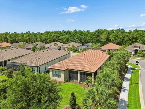20158 Umbria Hill Drive Tampa FL 33647