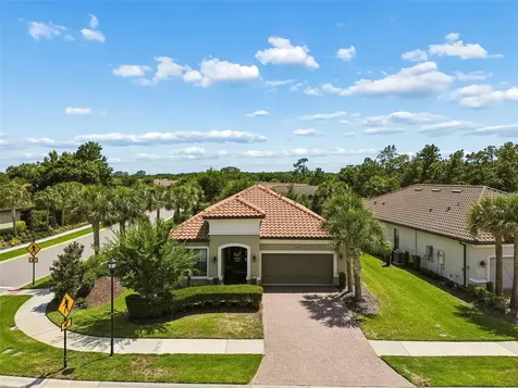 20158 Umbria Hill Drive Tampa FL 33647