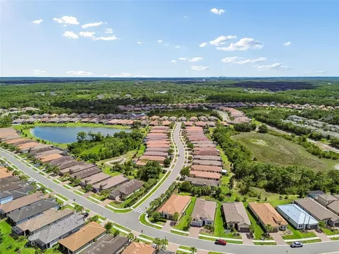 20158 Umbria Hill Drive Tampa FL 33647