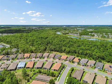 20158 Umbria Hill Drive Tampa FL 33647