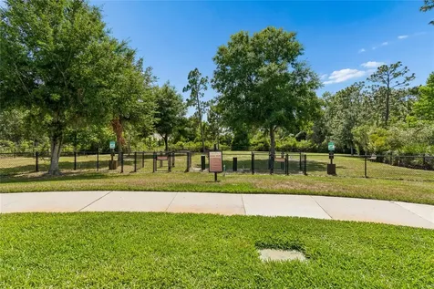 20158 Umbria Hill Drive Tampa FL 33647