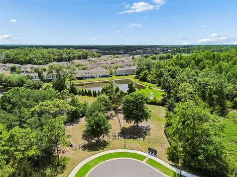 20158 Umbria Hill Drive Tampa FL 33647