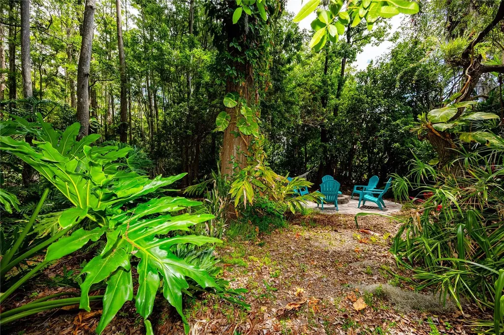 7801 Hamlet Drive New Port Richey FL 34653