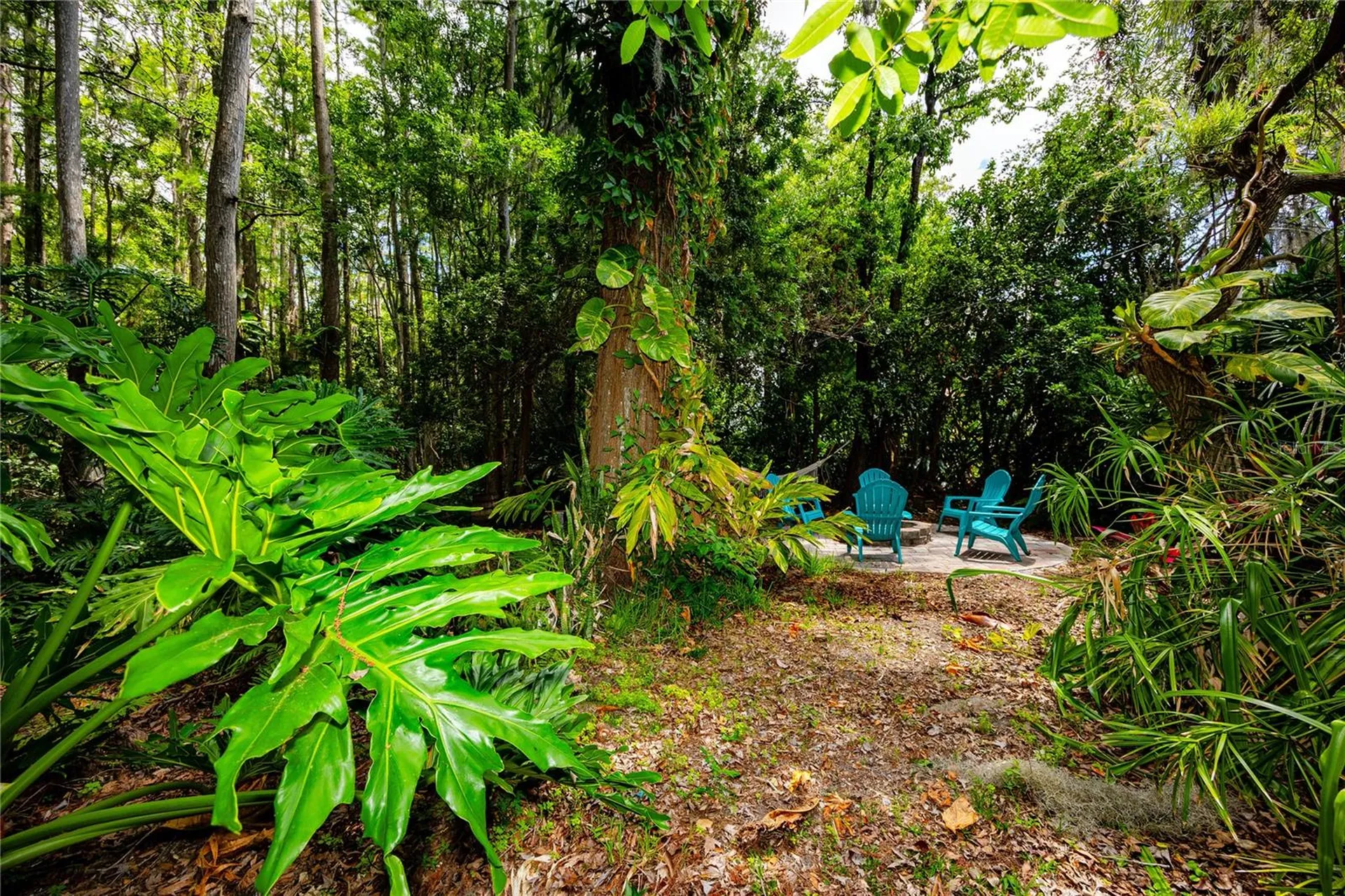 7801 Hamlet Drive New Port Richey FL 34653