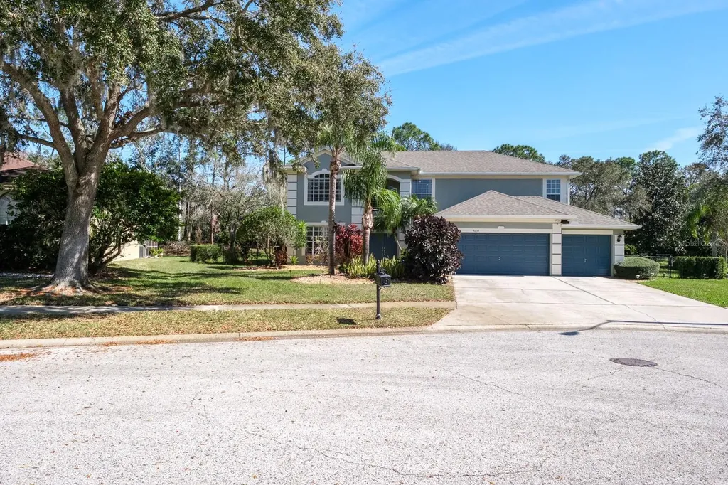 4037 Auston Way Palm Harbor FL 34685