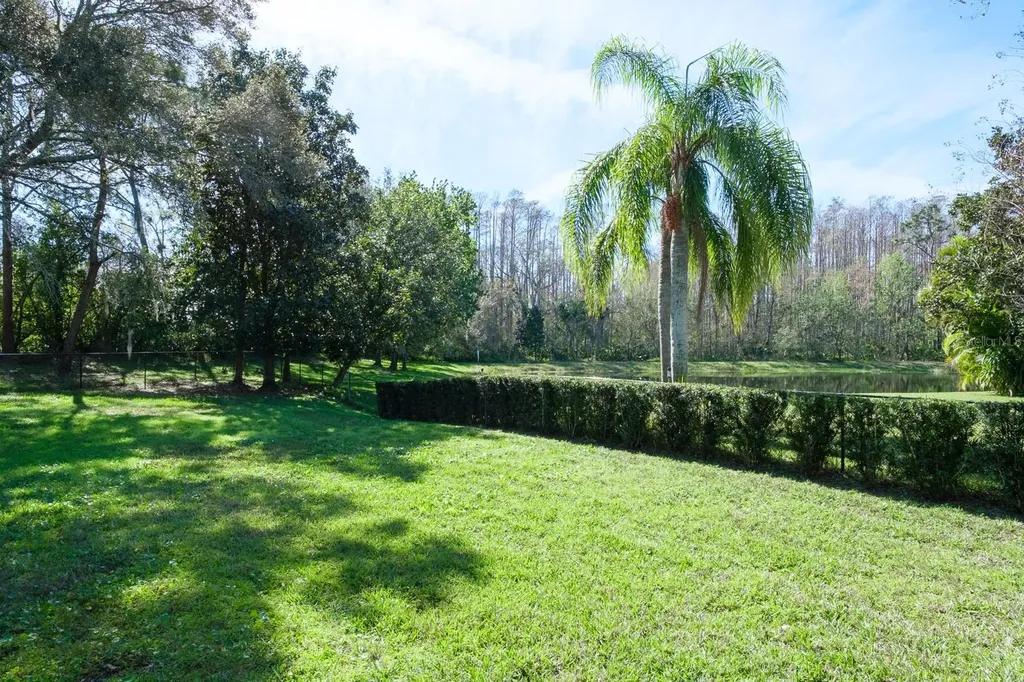 4037 Auston Way Palm Harbor FL 34685