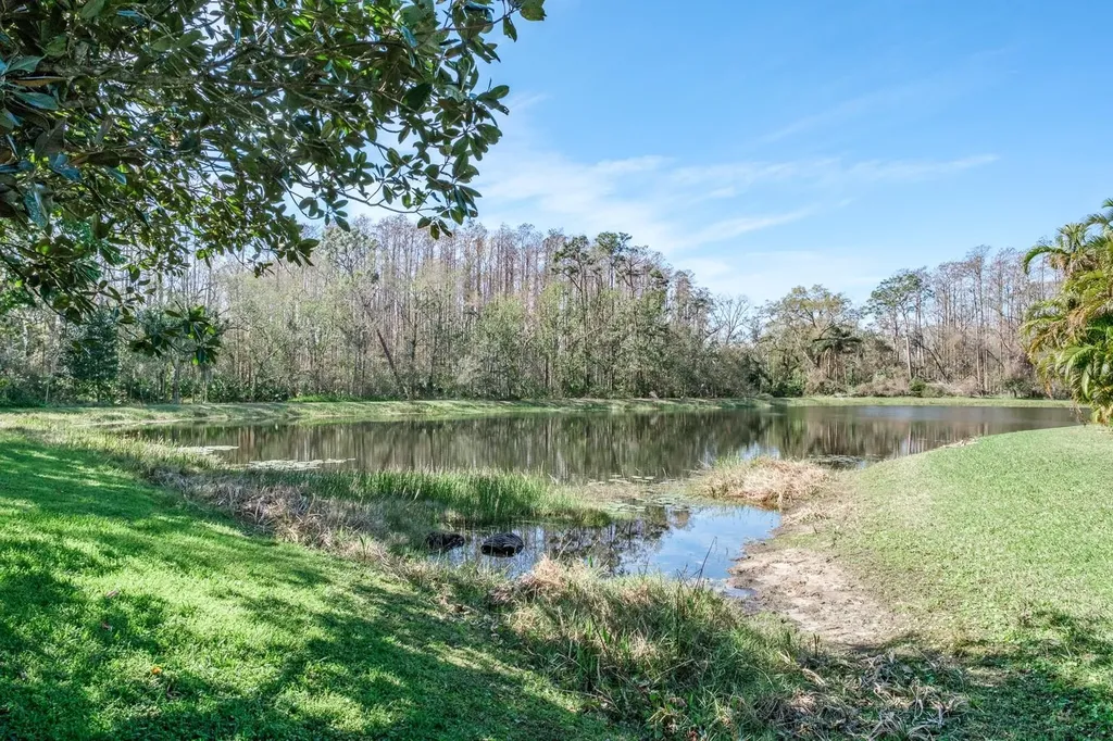 4037 Auston Way Palm Harbor FL 34685
