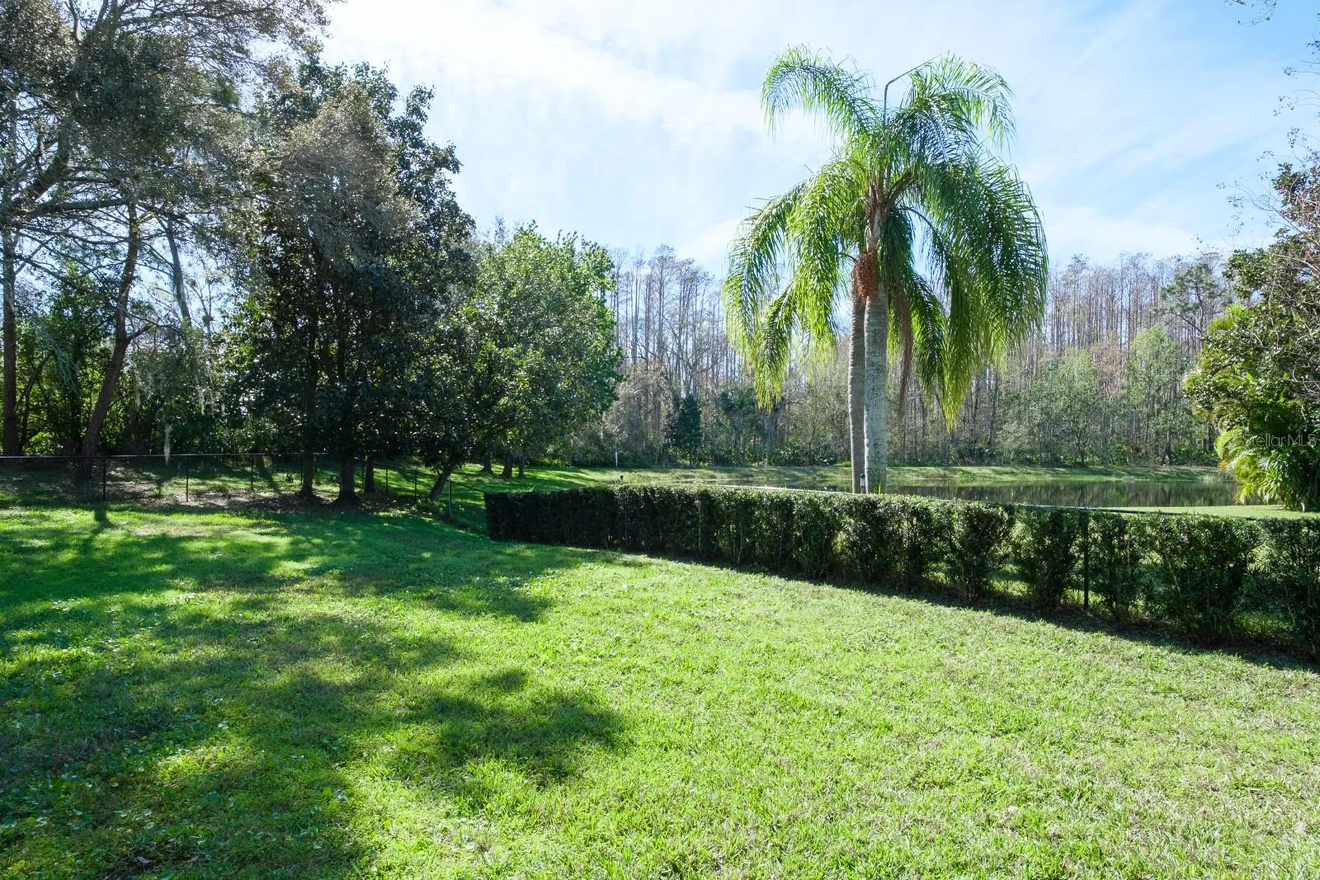 4037 Auston Way Palm Harbor FL 34685