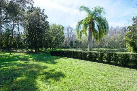 4037 Auston Way Palm Harbor FL 34685