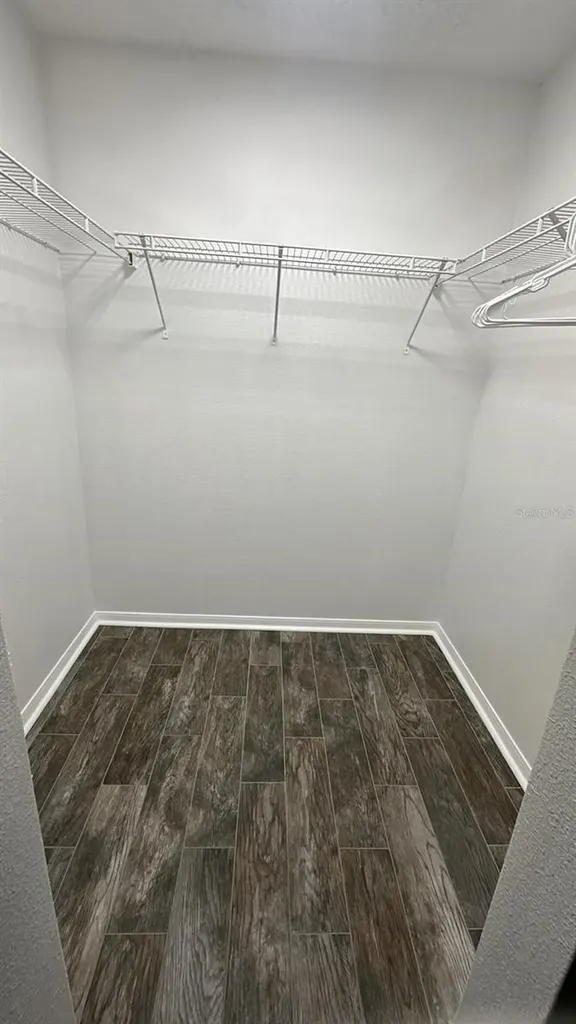 31704 Shin Court Wesley Chapel FL 33545
