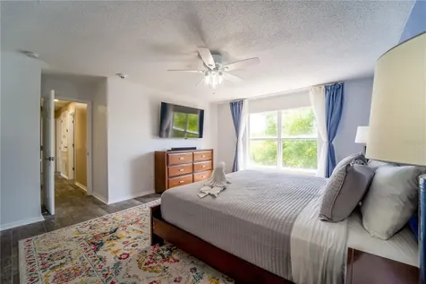 31704 Shin Court Wesley Chapel FL 33545