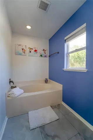 31704 Shin Court Wesley Chapel FL 33545