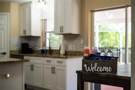 31704 Shin Court Wesley Chapel FL 33545