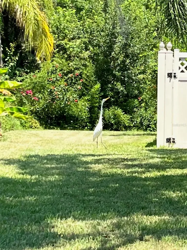 3705 Grayton Drive New Port Richey FL 34652