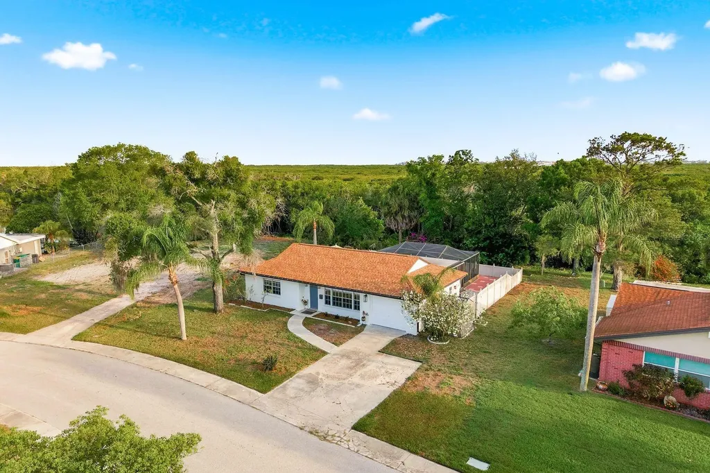 3705 Grayton Drive New Port Richey FL 34652