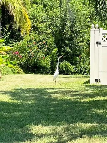 3705 Grayton Drive New Port Richey FL 34652